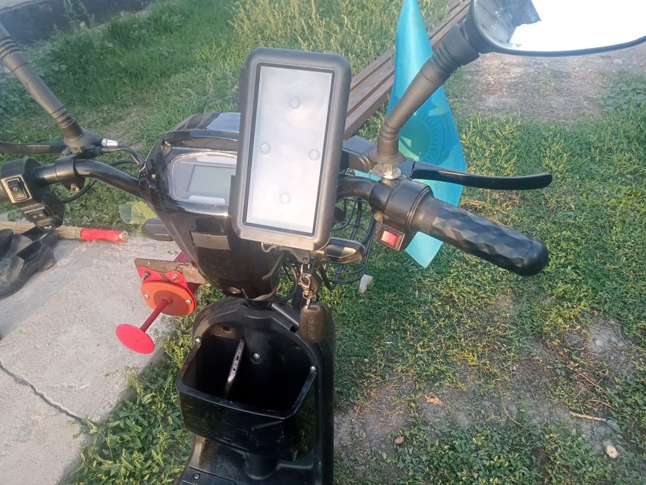 Лепард лепард  40