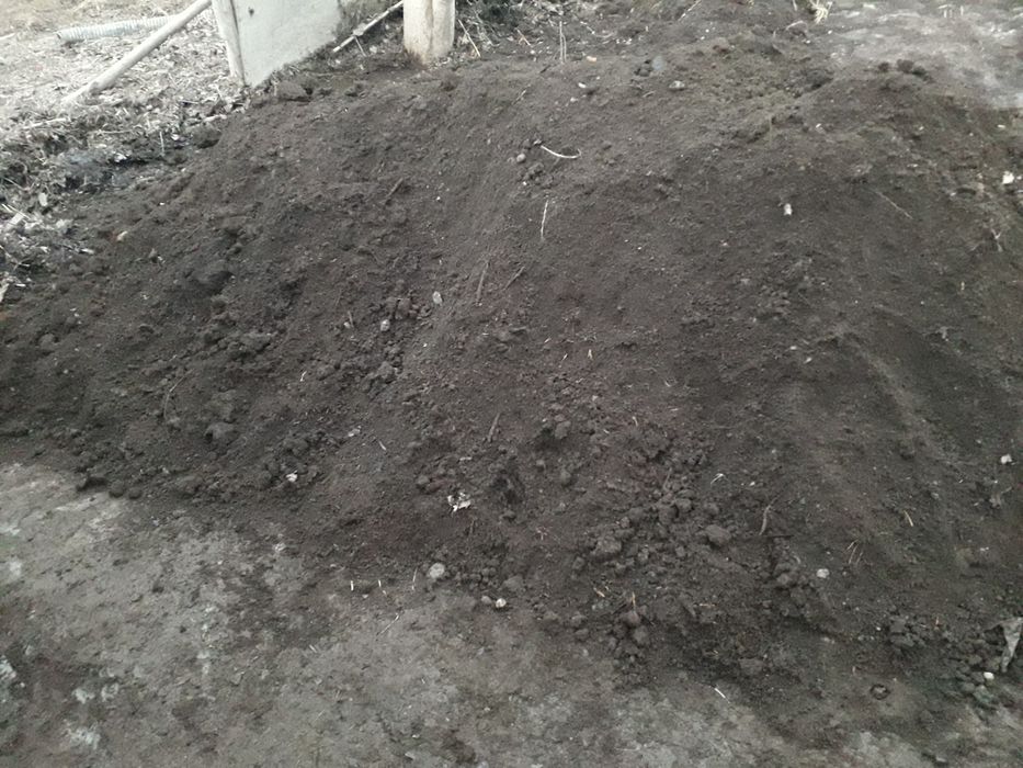 Biogomis tabiiy yer uchun chirigan nuri