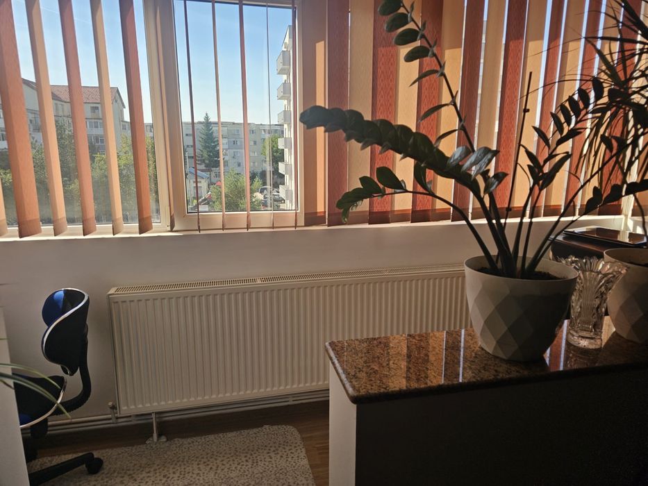 Apartament 3 camere Gavana