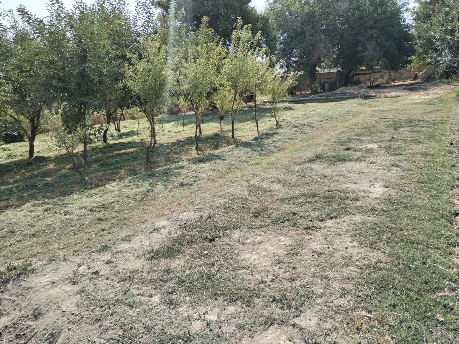 Quruq yer sotiladi!!