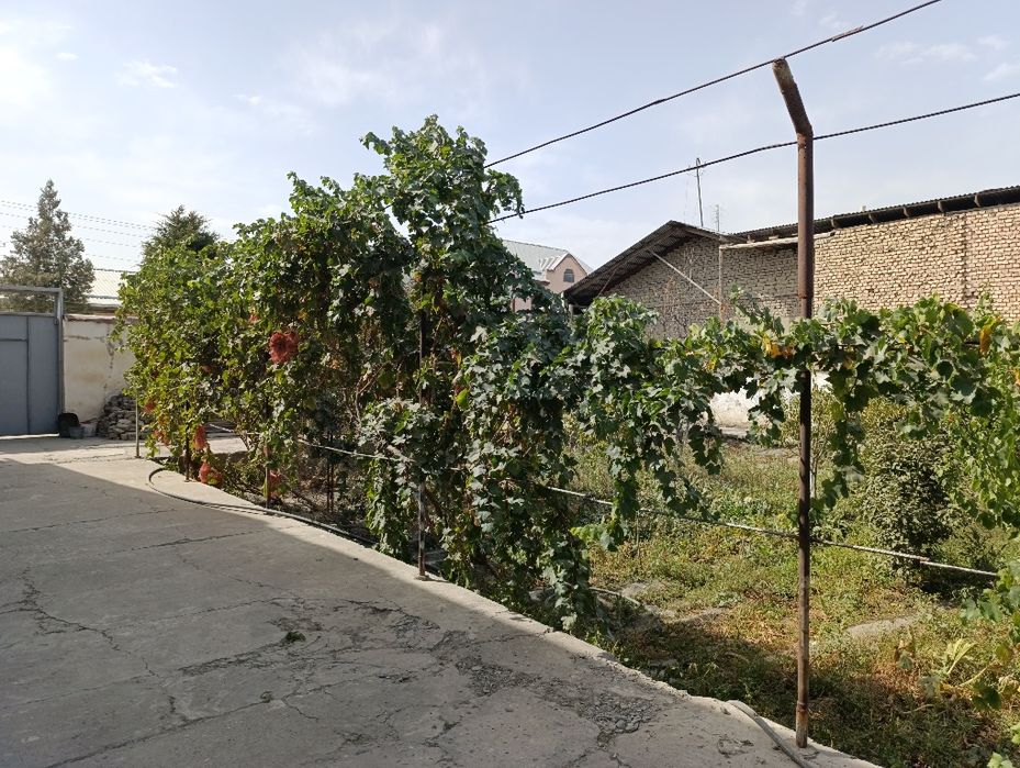 Жомбой центр, ховли сотилади, 6 соток