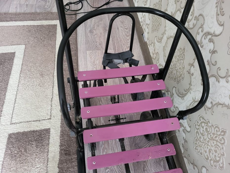 Зимние двухместные сани