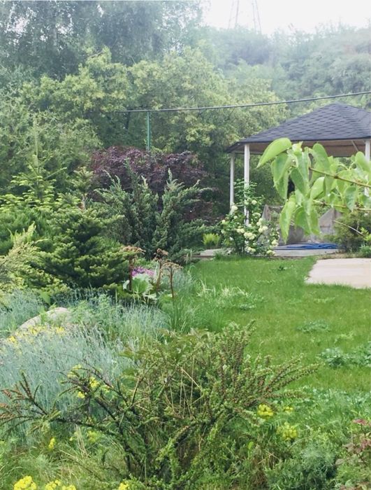 TauVista House. Дом в горах