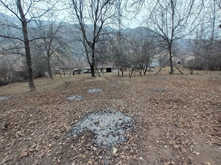 Здравствуйте дорогие друзья я вам обейвляю у меня есть земля каторие в