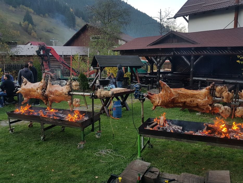 Protap rotisor animale - vitel purcei miei nunti botezuri evenimente