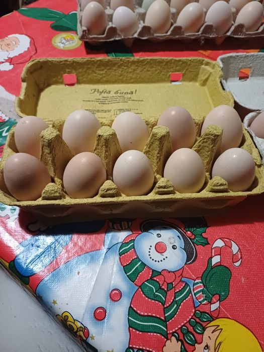Vând ouă tari de ciocnit pt Paști