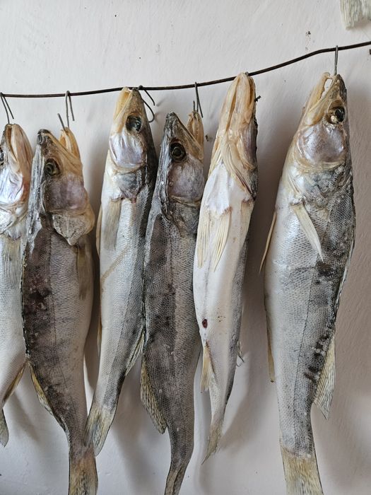 Сушоный Судак по 200 тн