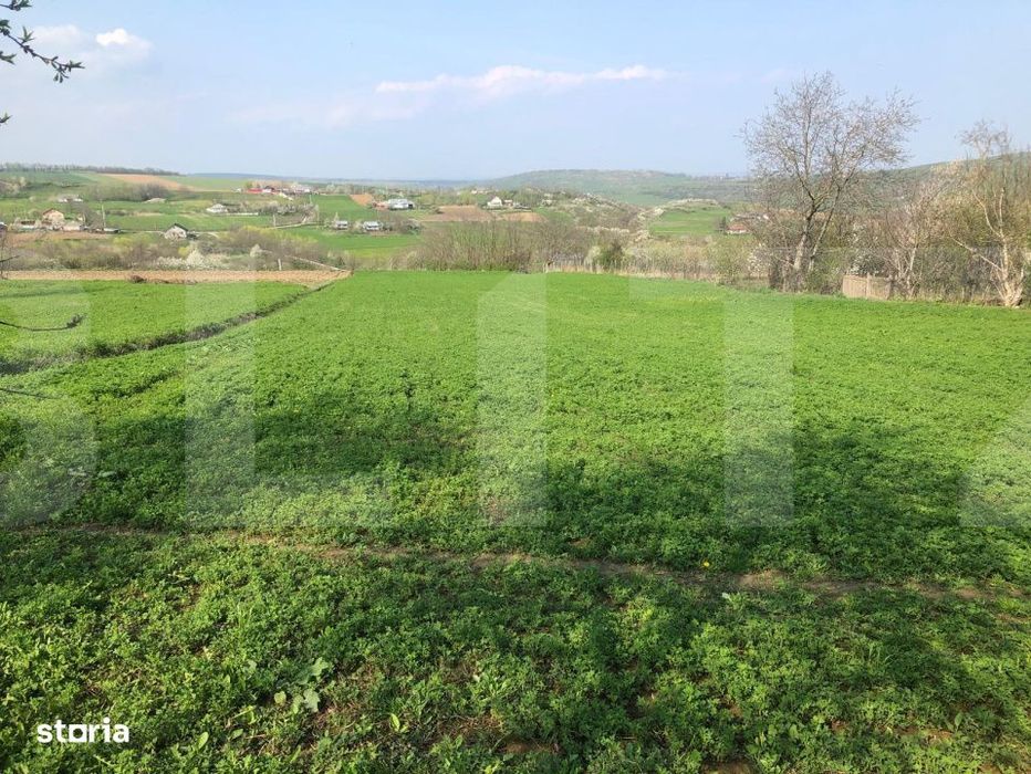 Teren intravilan, 3891 mp, la drum asfaltat, zona Bucecea