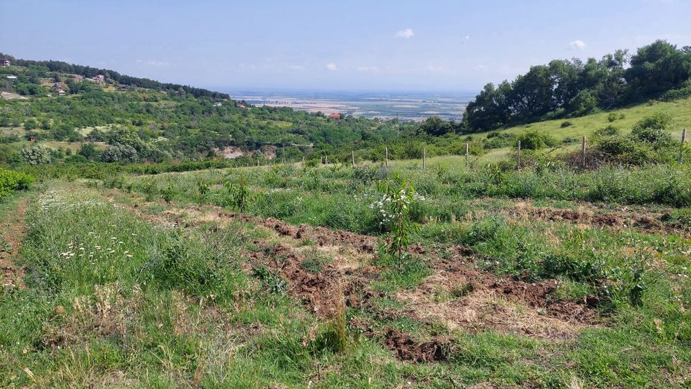 Продава се Земеделски имот в Асеновград -  кв.м за 15300 €/дка - Снимка #1