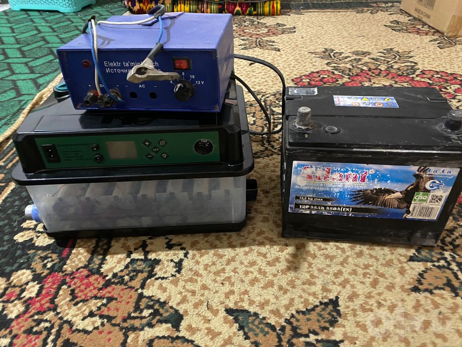 Inkubator+akumlyator+zaryadnik