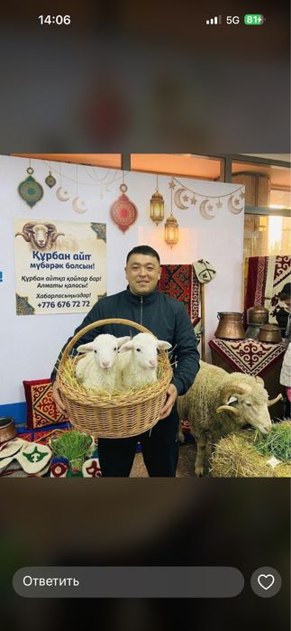 Қой баран ешкі ешки миринос