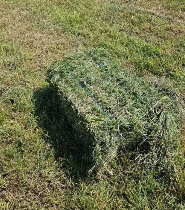 Baloti lucerna calitate super buna coasa 4