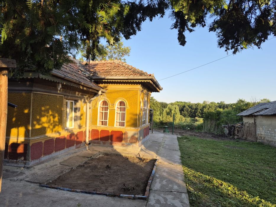 Ilfov Petrăchioaia casa cu teren