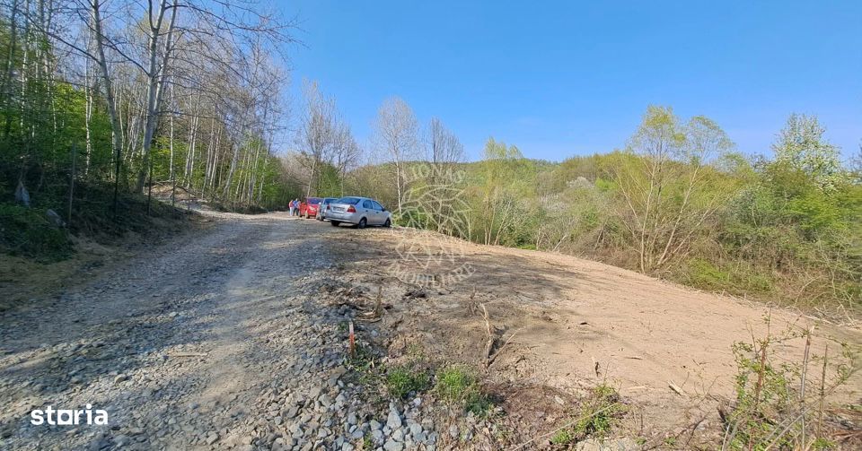Teren intravilan 868 mp cu utilitati-ideal casa-Tautii-Magheraus