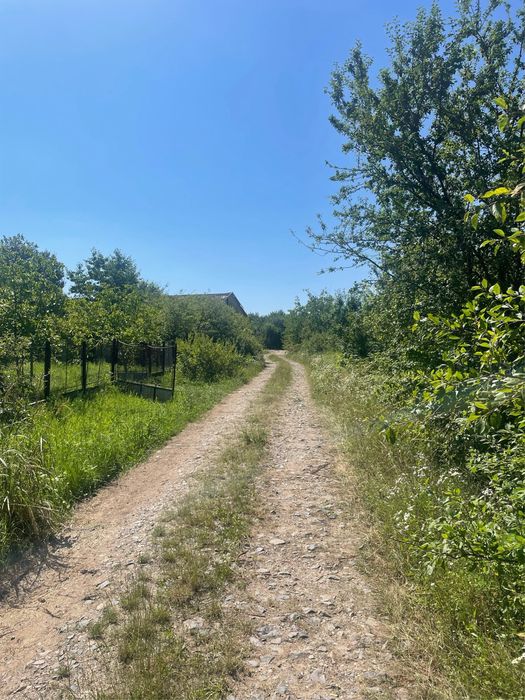 Parcele teren intravilan 5,5 ari (Viile Satu Mare)