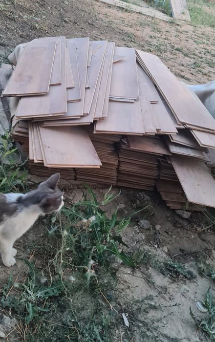 Продаются все за 10000 т