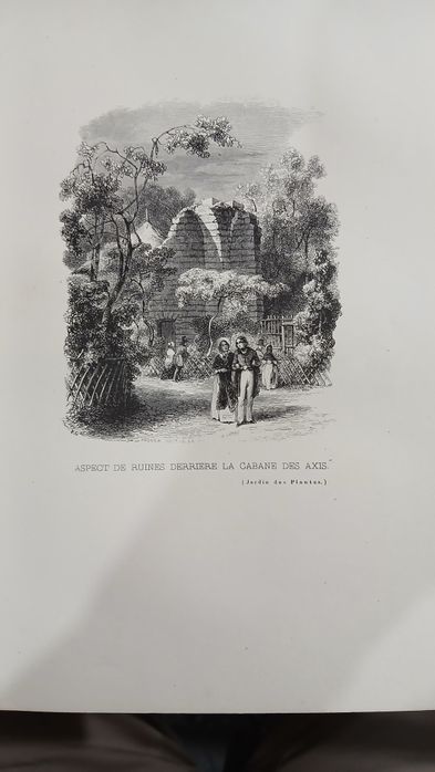 Кнтжные гравюры Ботанический сад