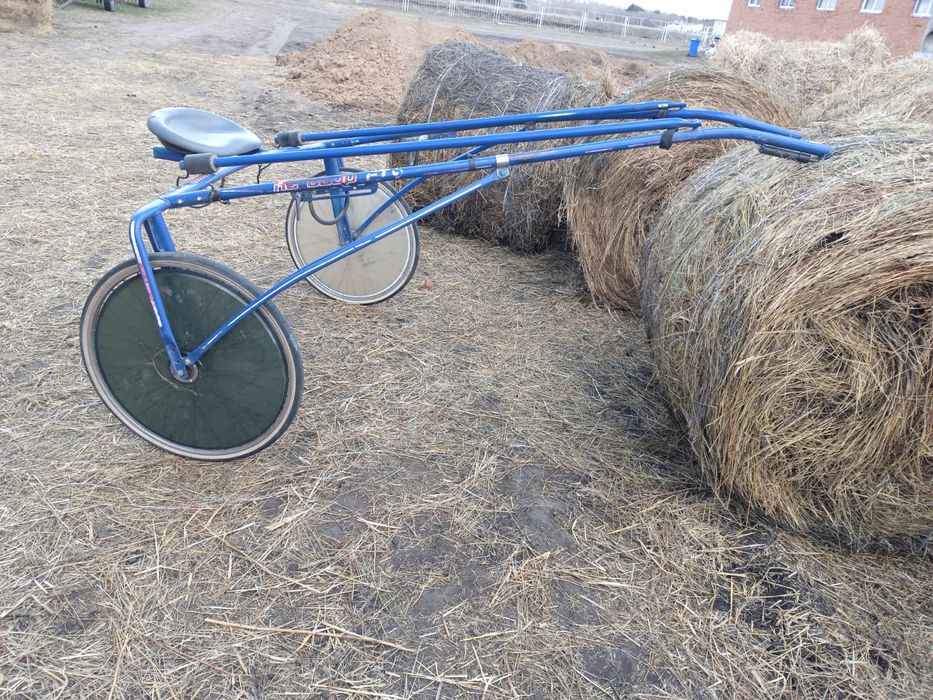 Продам Рысистую качалку