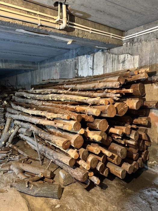 Сосна | тосин | 4.5 метр