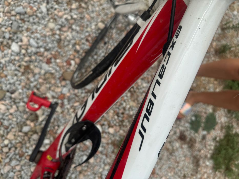 Bicicleta  curse din carbon