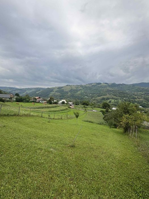 Teren de vanzare 1300m2