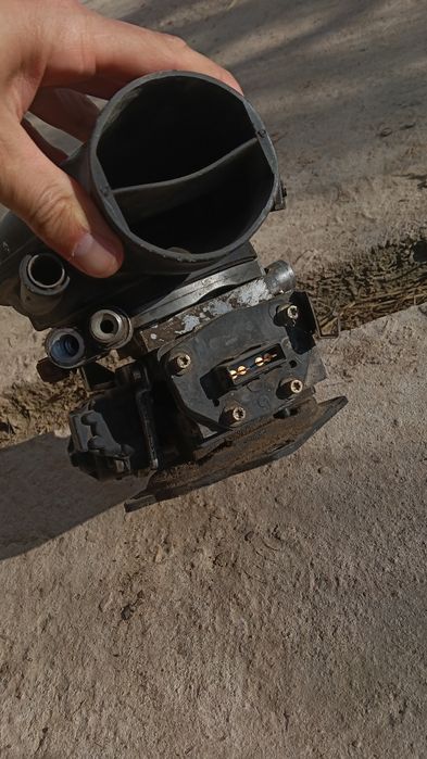 Мона вприск в от