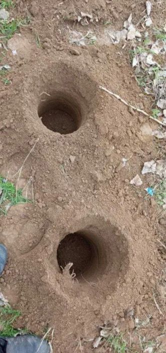 Дарахт экиш учун мотобур теха