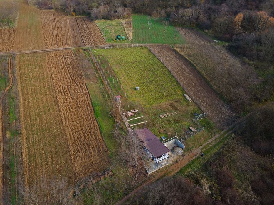 Teren intravilan de vânzare în Viisoara, județul Bihor- zonă liniștită