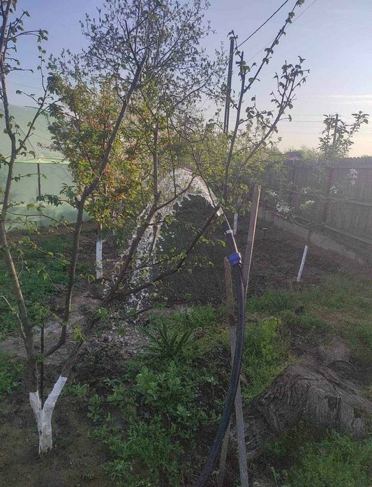 Foraje puturi apă - în toată țară