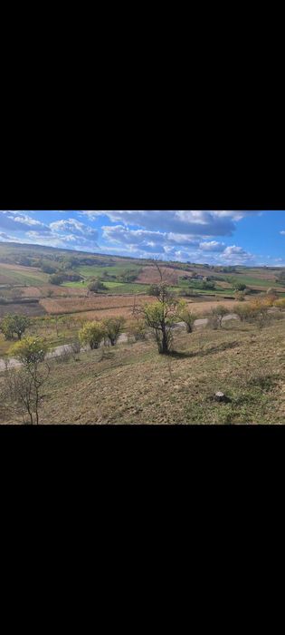 Casă consteucție noă cu 4,5ha de teren de vanzare