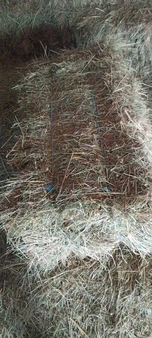 Baloți fân de grădină