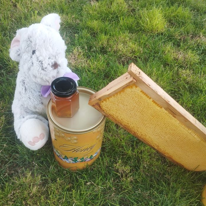 Натурален пчелен мед