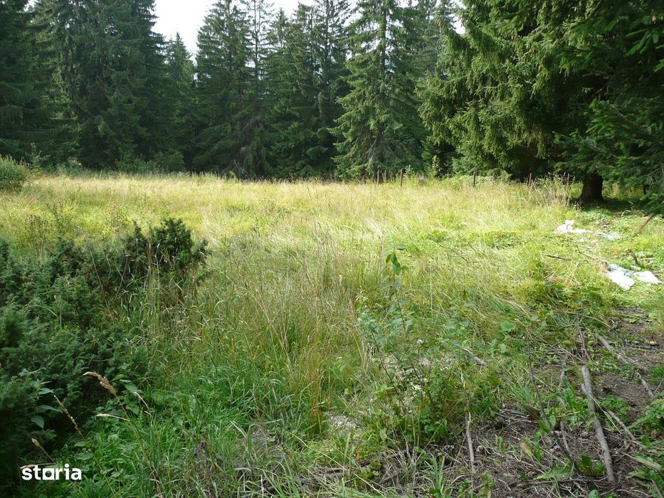 Teren intravilan situat in Predeal