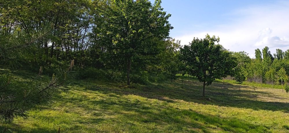 Продава се Къща в Видин, Акджамия - 56 кв.м за 1822 €/кв.м - Снимка #15