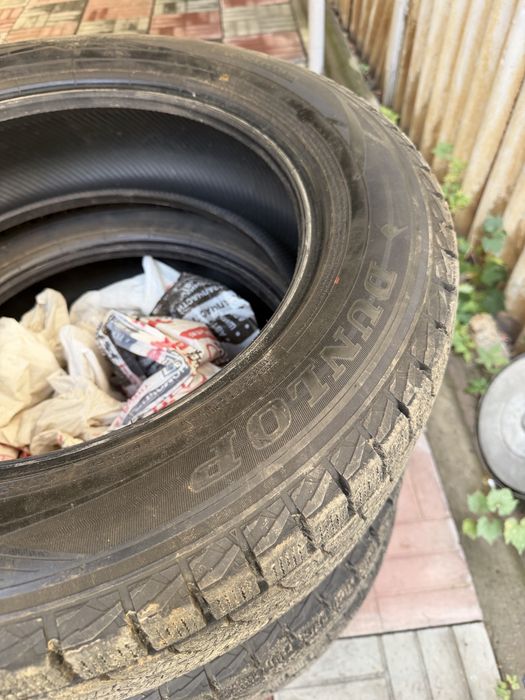 Зимняя шина Dunlop