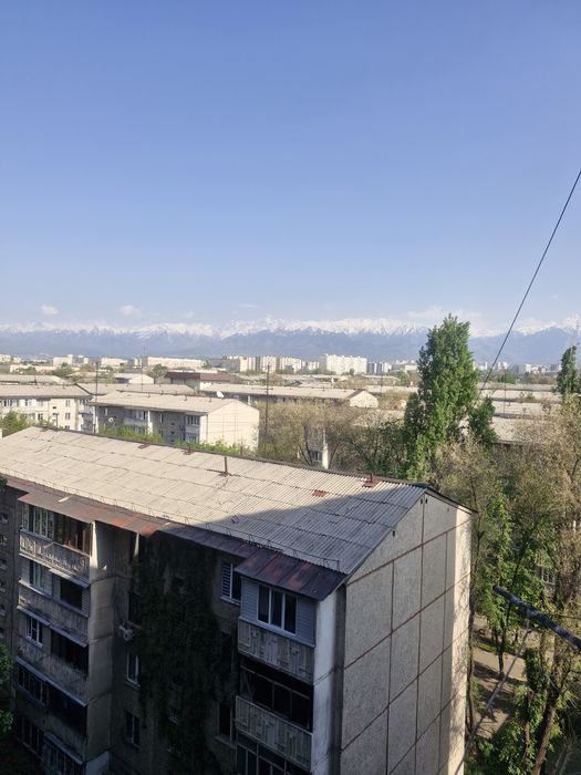 Ищу на подселение девушку!!!