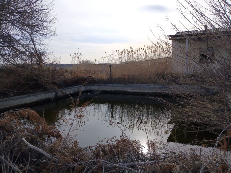 Выкуп. Срочно. 12 ГА территории