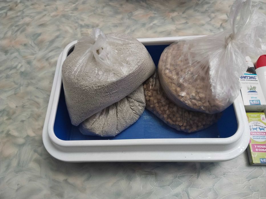 Принадлежности для кошки
