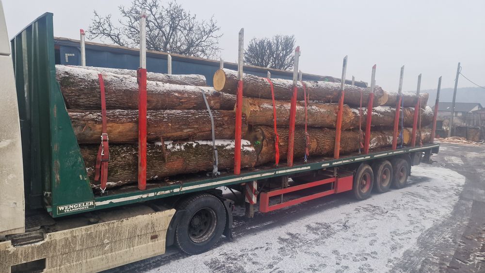 Cherestea Stejar Grinzi stejar