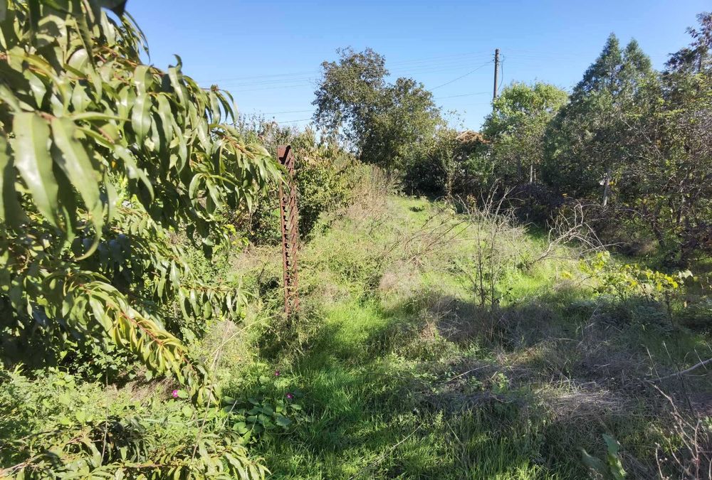 Продава се Къща в с. Божурово, Област Добрич - 120 кв.м за 77 €/кв.м - Снимка #16