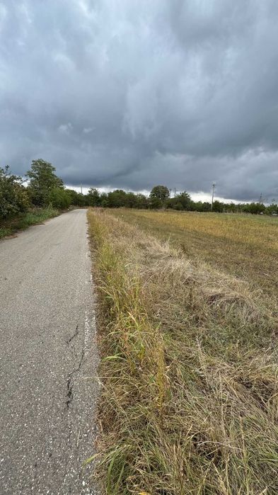 Teren Intravilan 1400 MP in Parcul National Comana,Vlad Tepes,Giurgiu