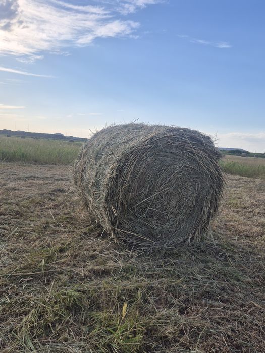 Продам сено.   .