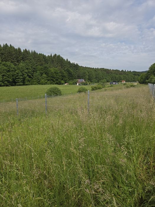 Teren de vânzare in localitatea Vlădeni comuna Dumbrăvița județul Brașov - Vedere 6