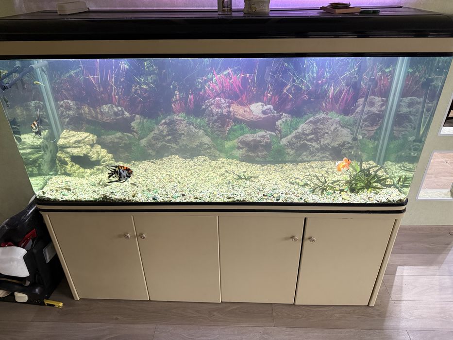 Аквариум 600 литров