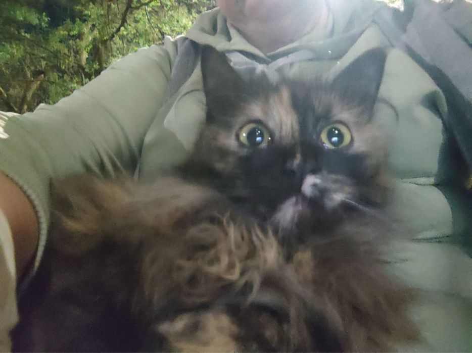 Малышка ждет своего человека!