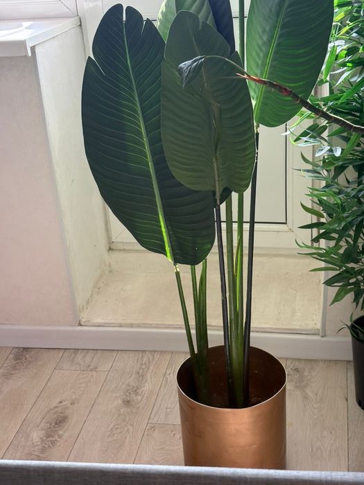 Продам искуственные цветы