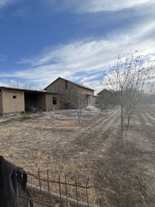 Uchastka sotiladi  arzon narxda !