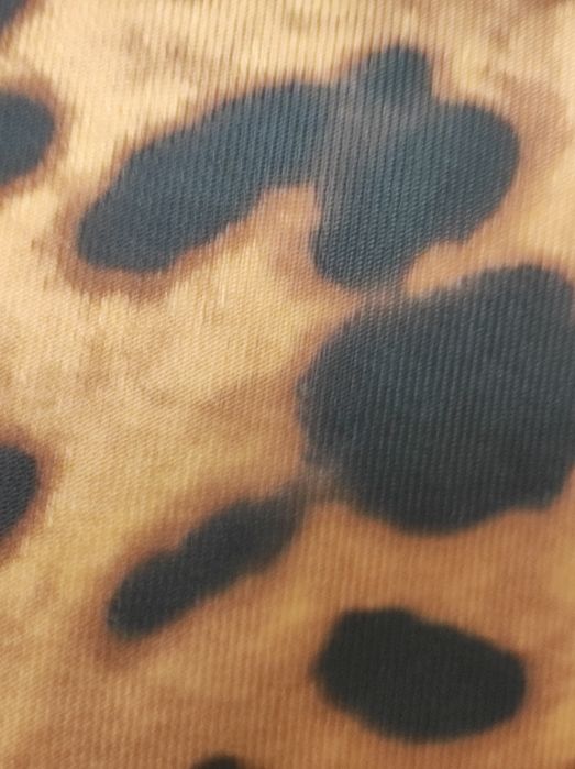 Сумка Dolce & Gabbana