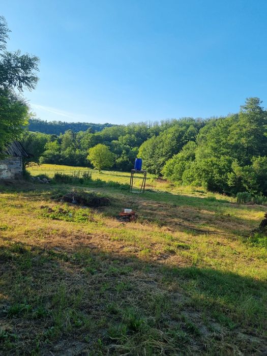 De vânzare proprietate deosebită in judetul Bihor Comuna Orvisele