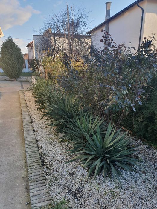 Închiriez casă, Craiova, 1 Mai